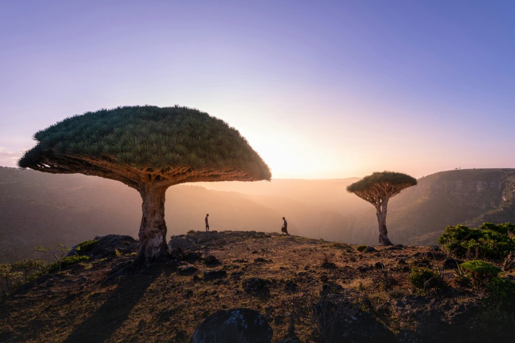 Socotra 4